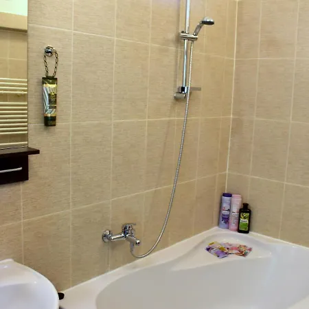 Wellness Florenc Apartment *